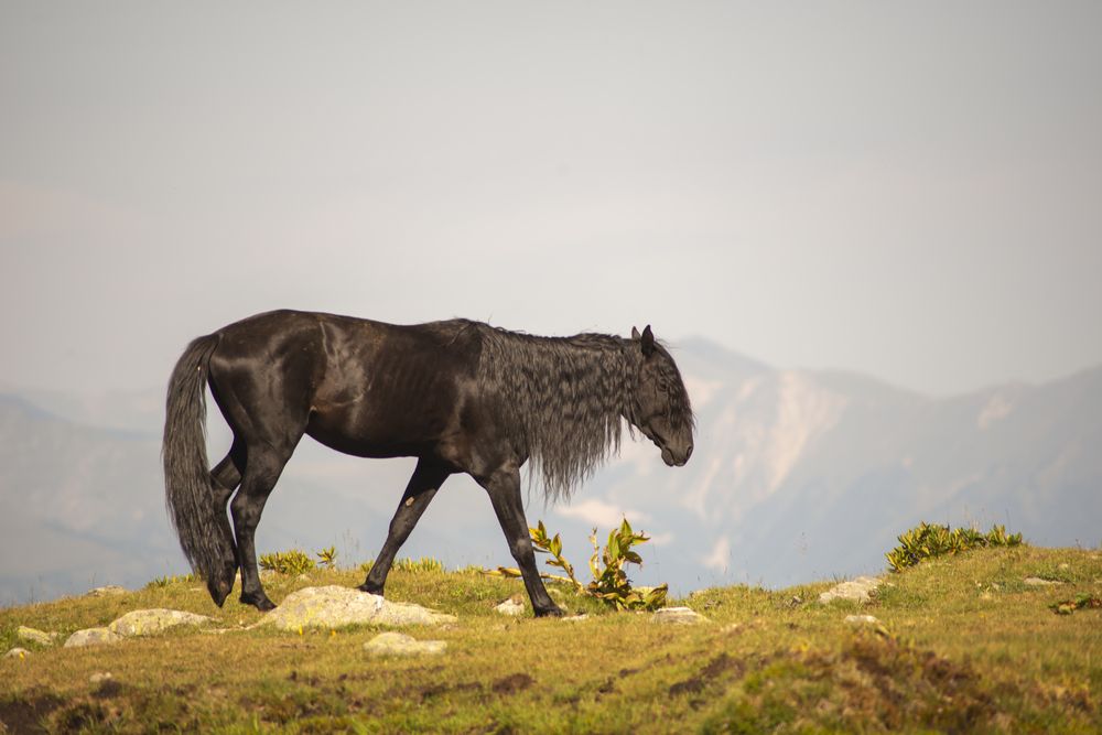 Photograph by Денис Смирнов