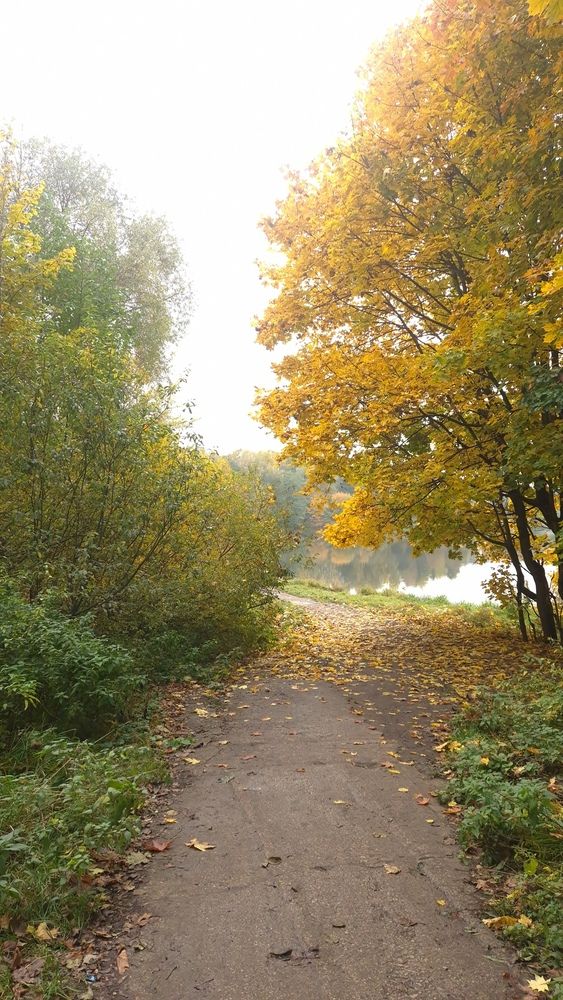 Photograph by Екатерина Смирнова