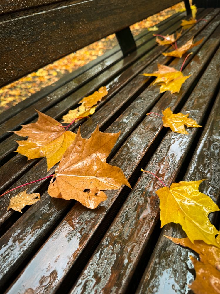 Photograph by Евгений Фролов