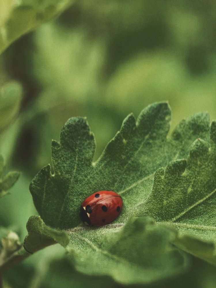 Photograph by Наталья Жуковская