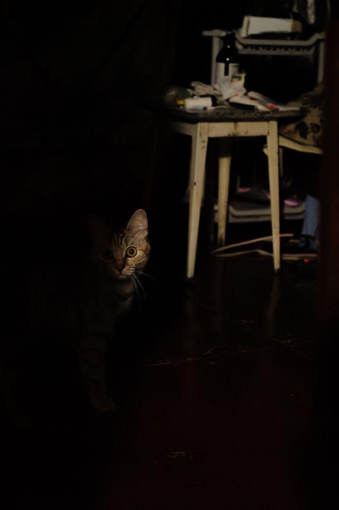 Фотография автора Тагир Должиков