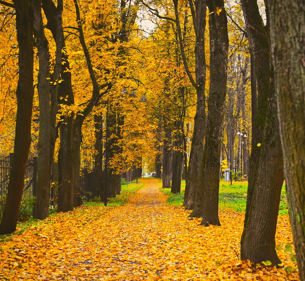 Photograph by Anna Prohorova