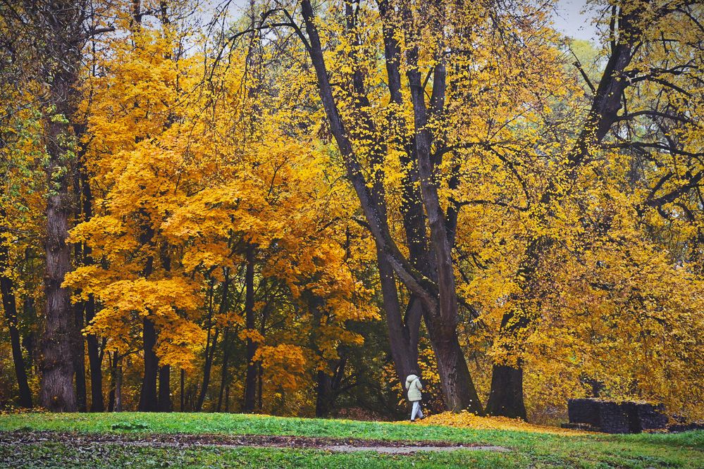 Photograph by Anna Prohorova