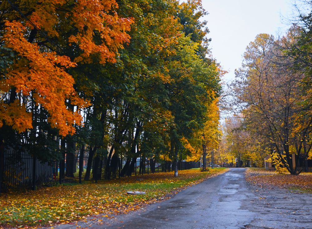 Photograph by Anna Prohorova