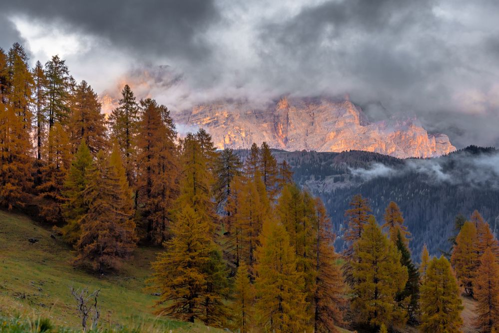 Photograph by Евгения Чех