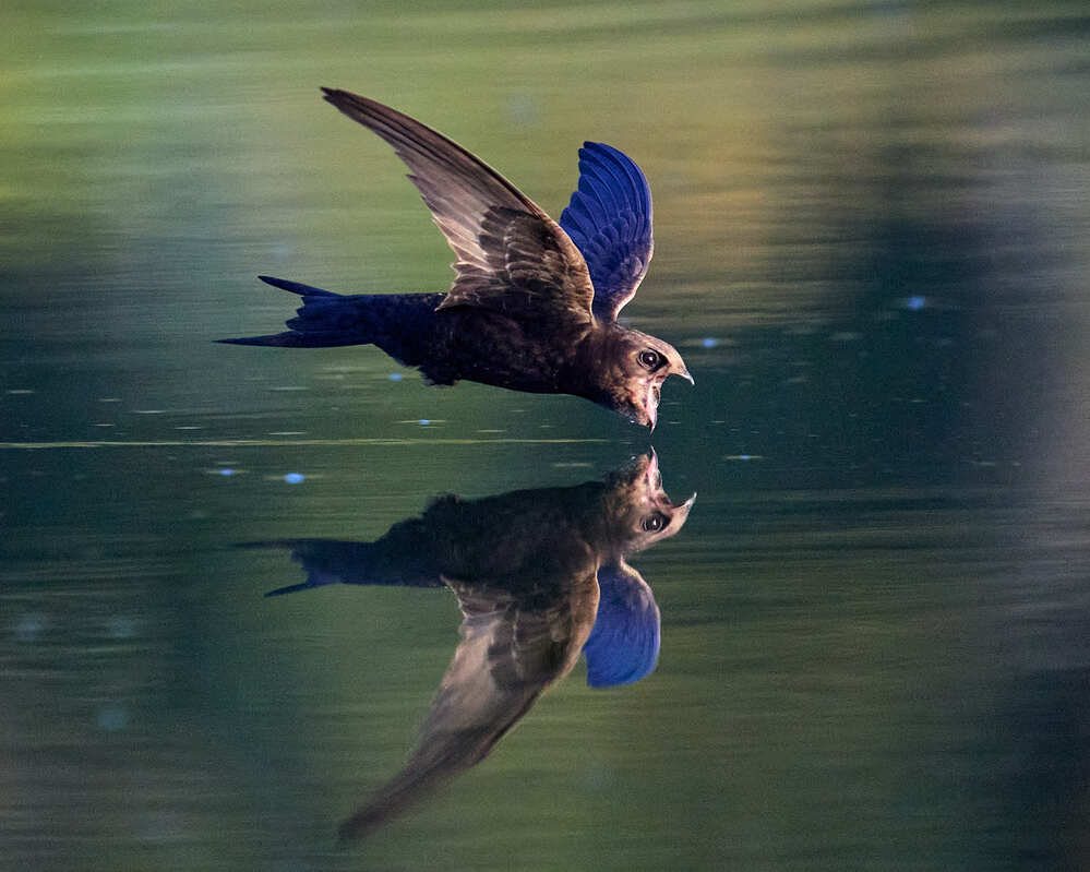 Photograph by Mikhail Khmelevskiy