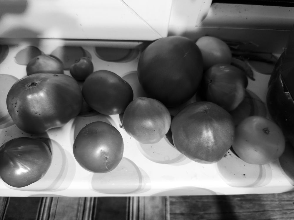 Фотография автора Татьяна Мишкина