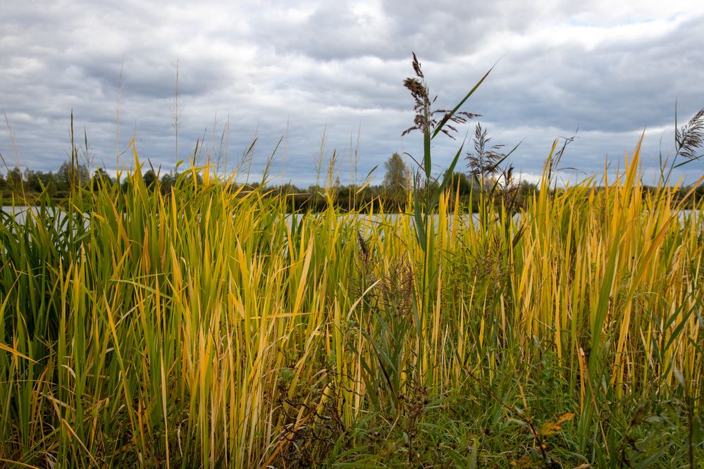 Photograph by Илья Сторожко