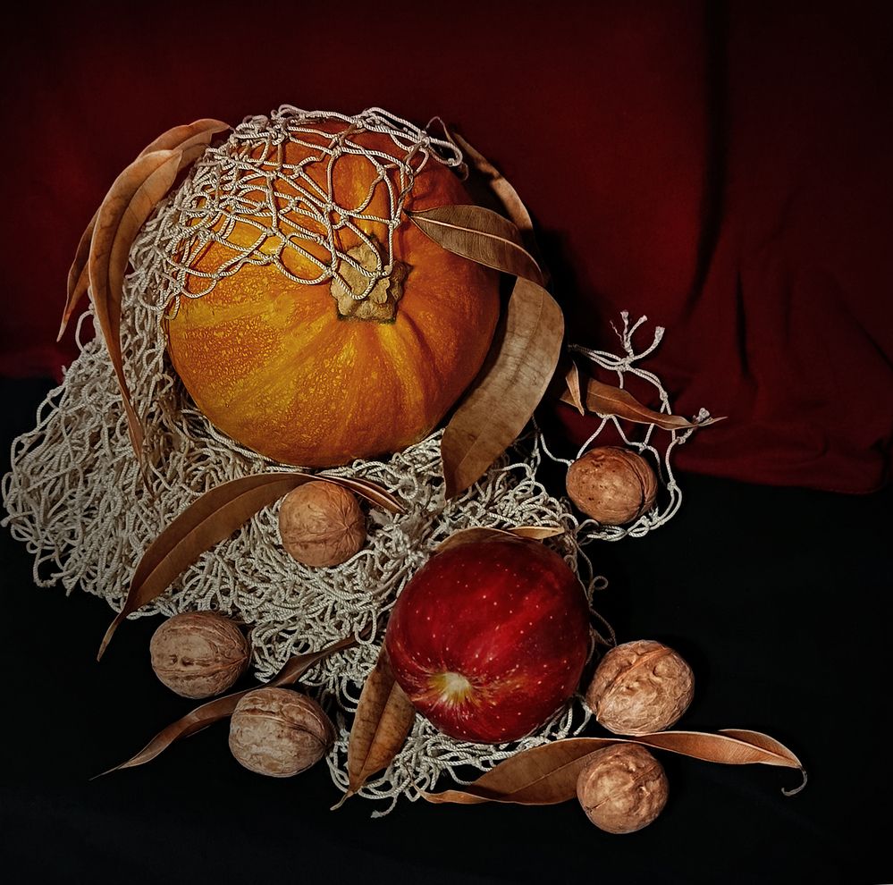 Photograph by hasan sorena jouri