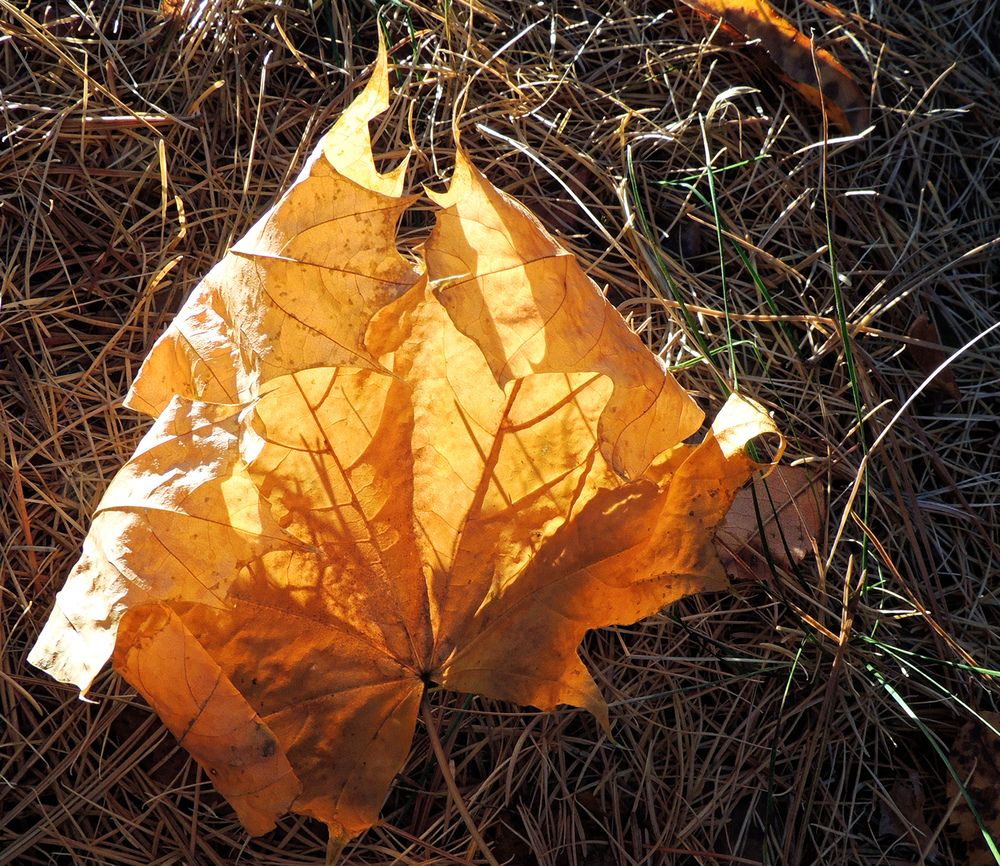 Photograph by Павел Кулинич
