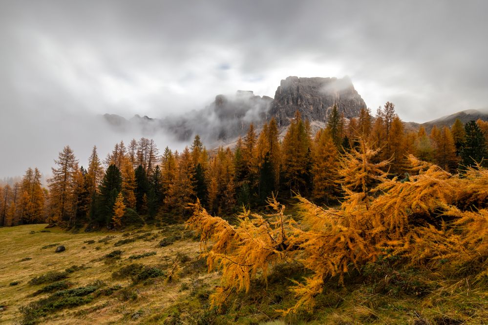 Photograph by Евгения Чех