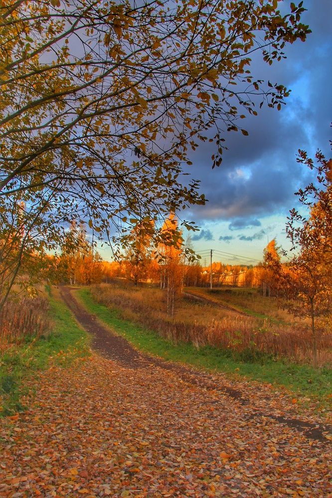Фотография автора Виктор Крючков