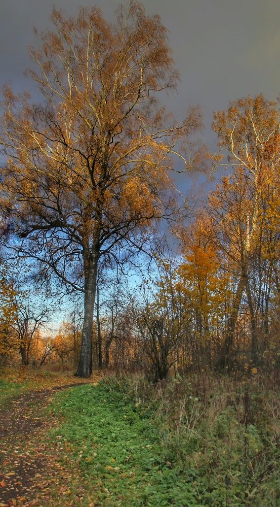 Фотография автора Виктор Крючков