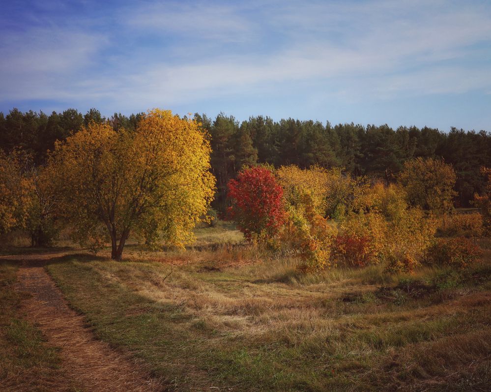 Photograph by Кира Бахвалова