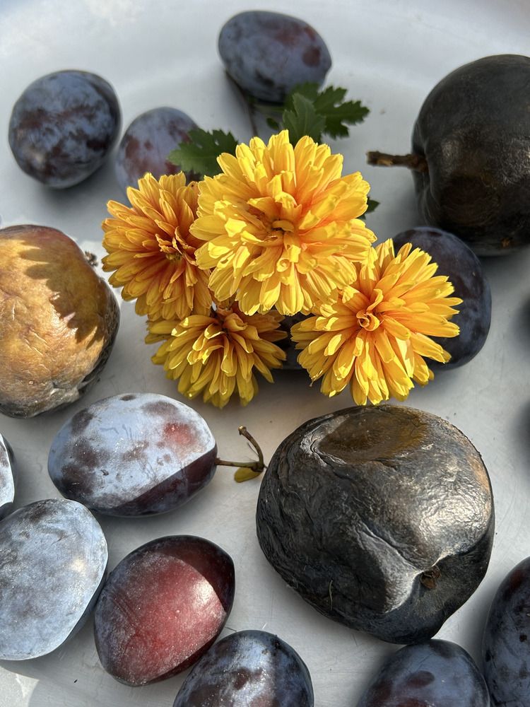 Photograph by Ольга Евтухова