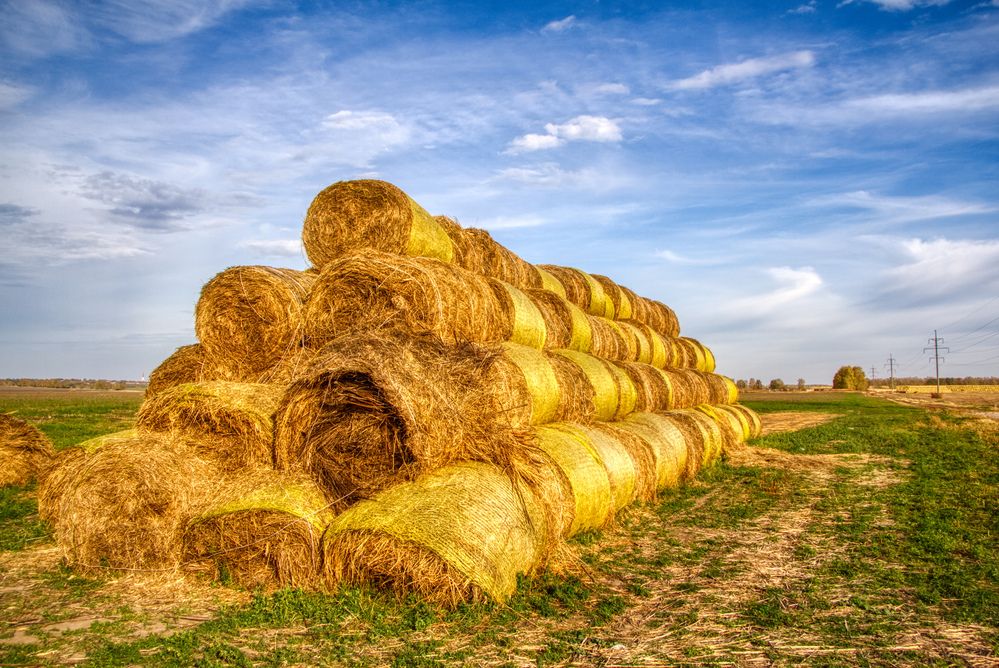 Photograph by Андрей Хитров