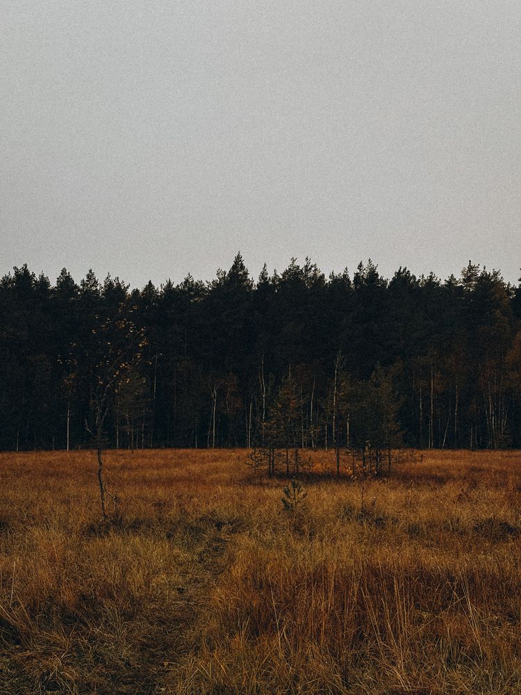 Photograph by Елена Михалева