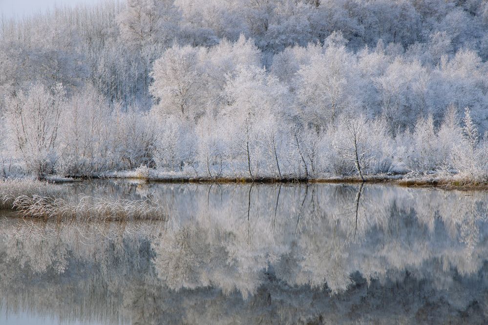 Фотография автора Анна Рыжкова