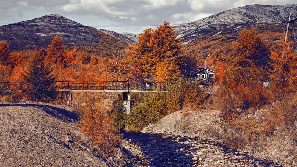 Photograph by Romanova Tatyana