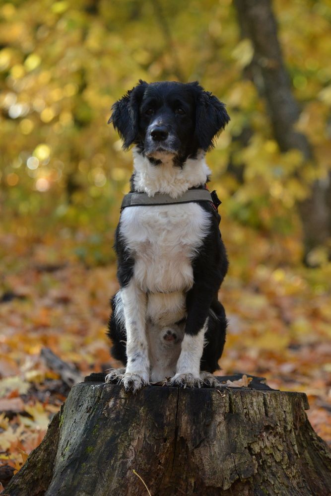 Photograph by Алексей Volg