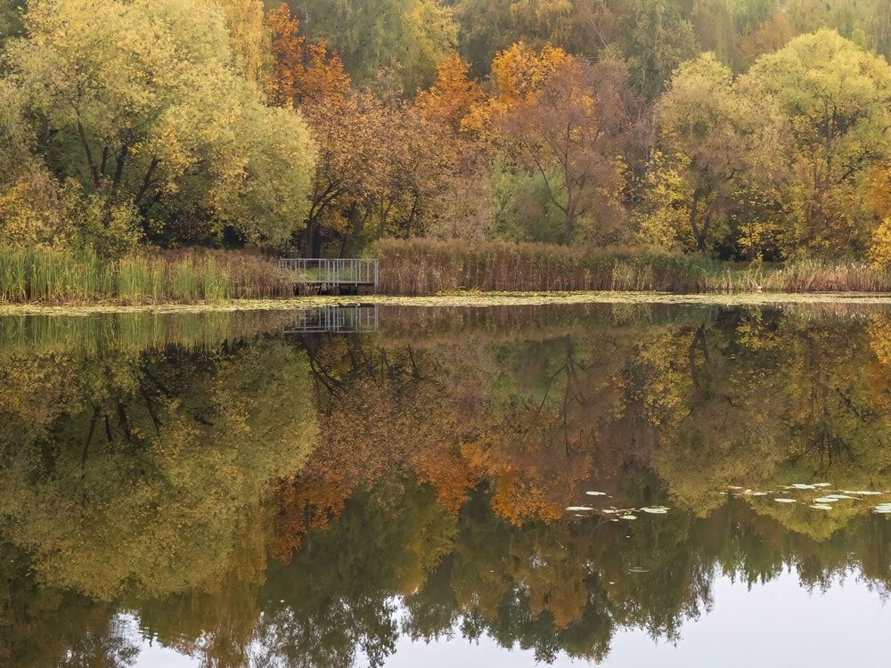 Photograph by Борис Полтавец