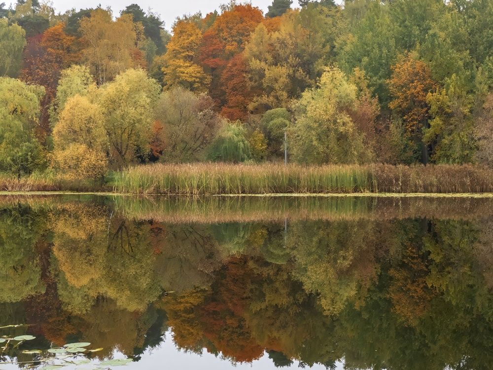 Photograph by Борис Полтавец