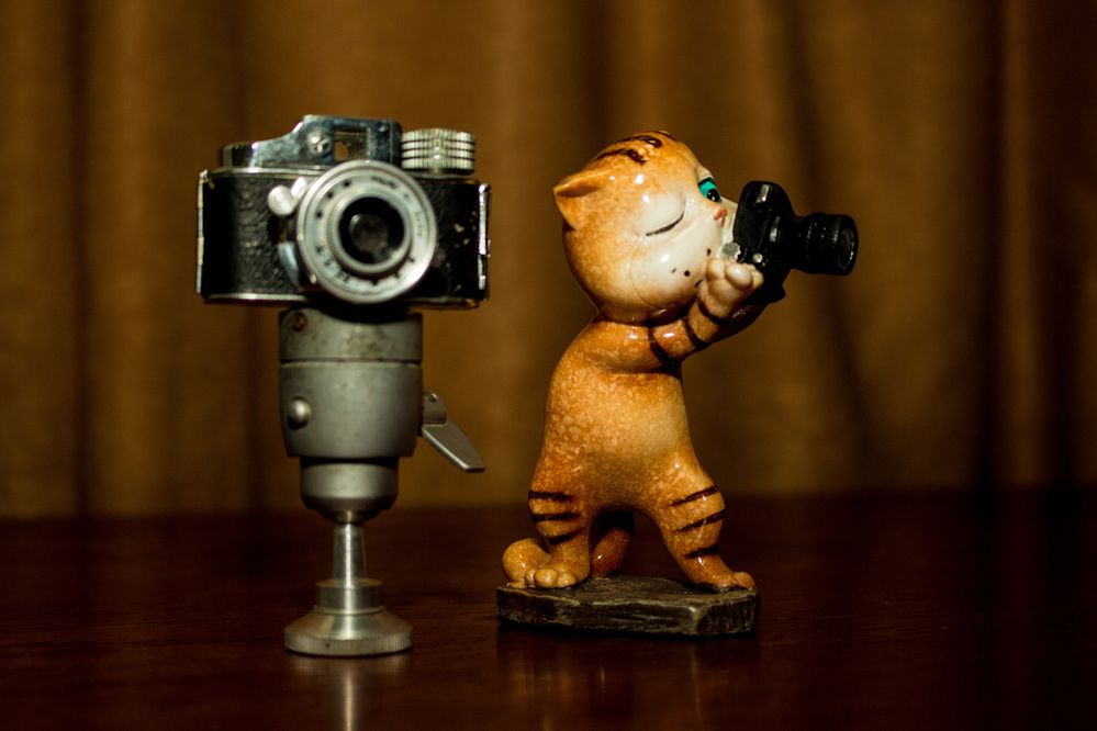 Photograph by Иван Полиненко