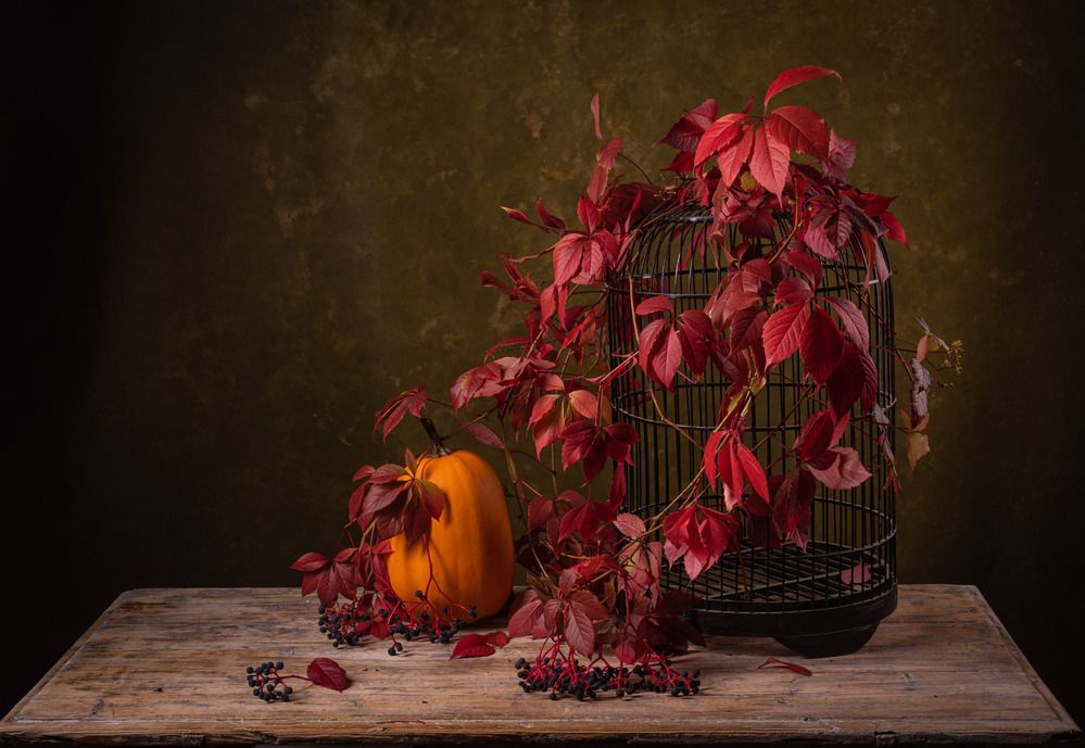 Photograph by Katya Kotyunina