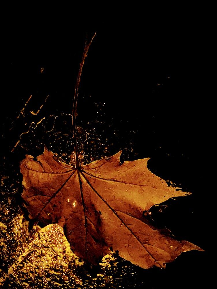 Photograph by Сергей Кулиев