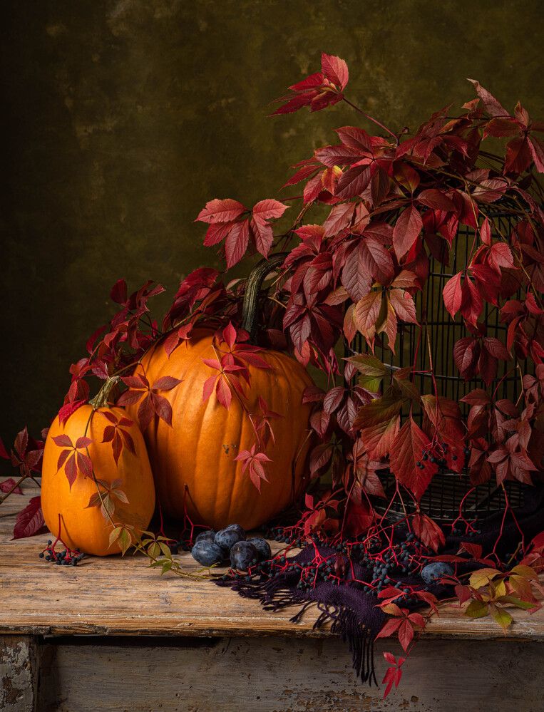 Photograph by Katya Kotyunina