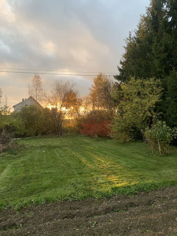 Photograph by Елена