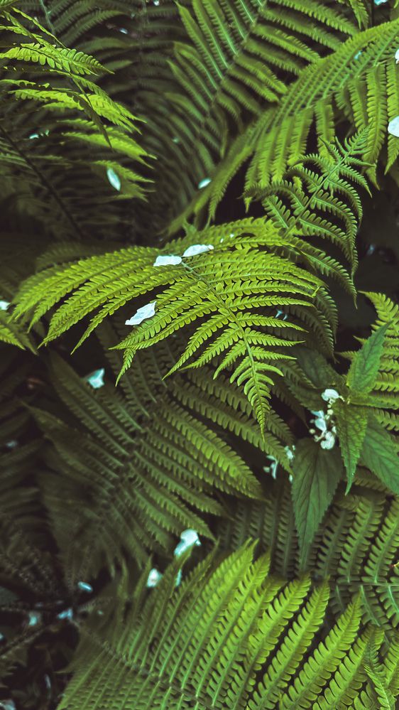 Photograph by Татьяна Бондаренко