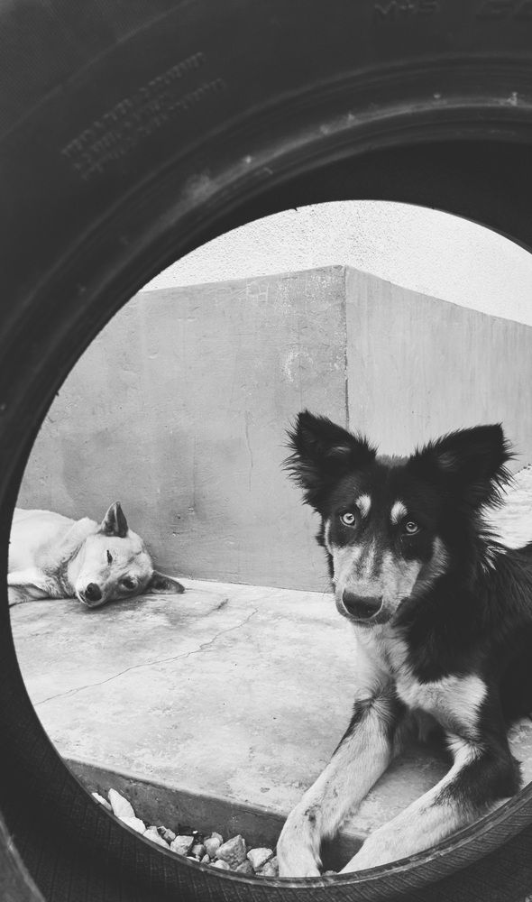 Photo #12692773