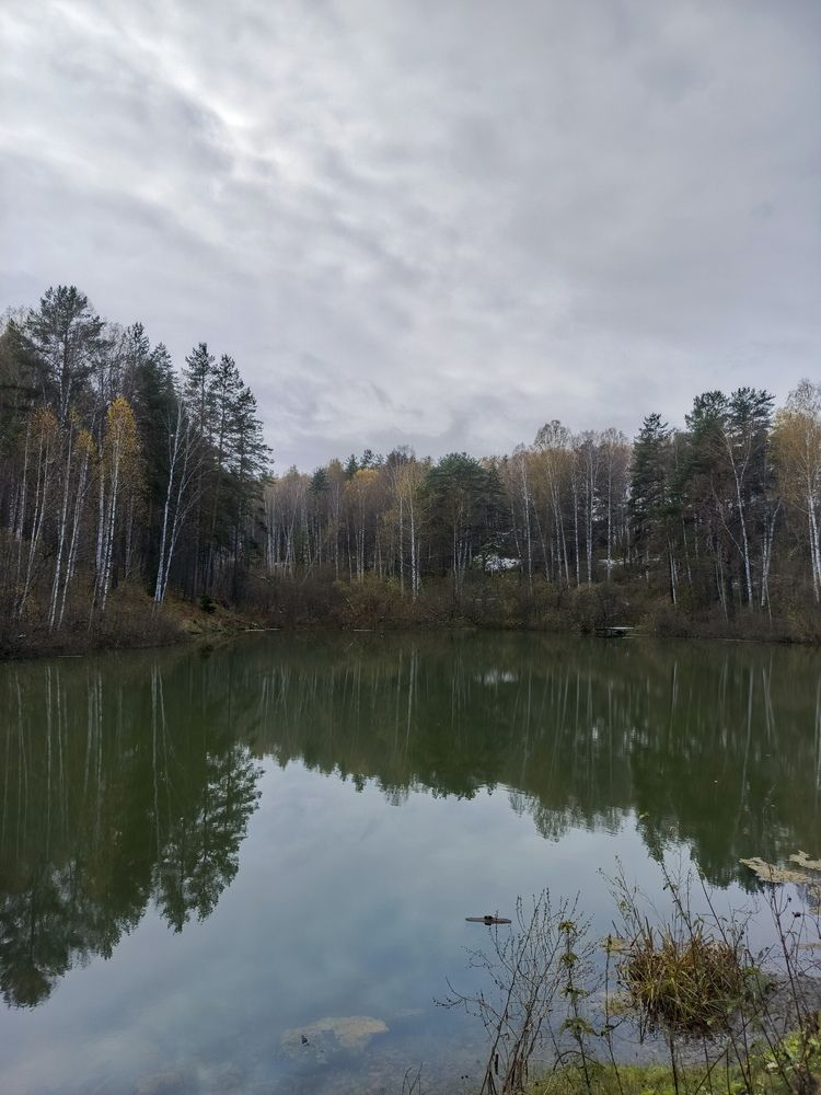 Фотография автора Ольга Петрова