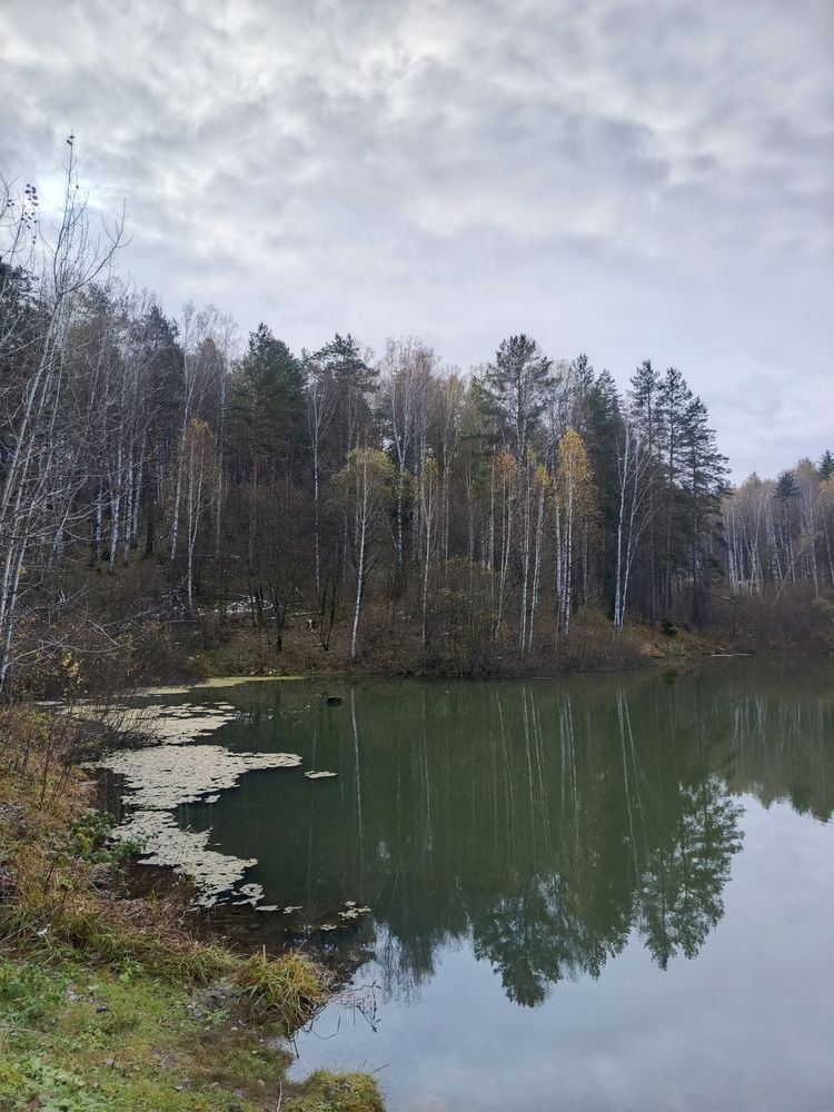 Фотография автора Ольга Петрова