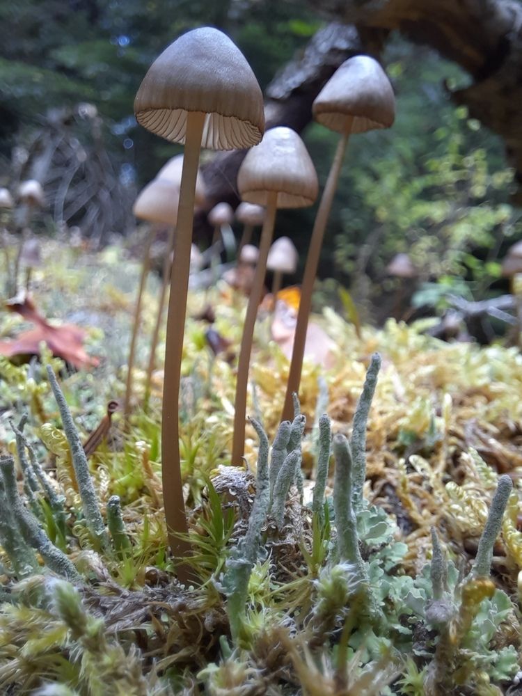 Photograph by Елена