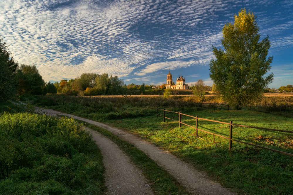 Фотография автора Томислав Ракичевич