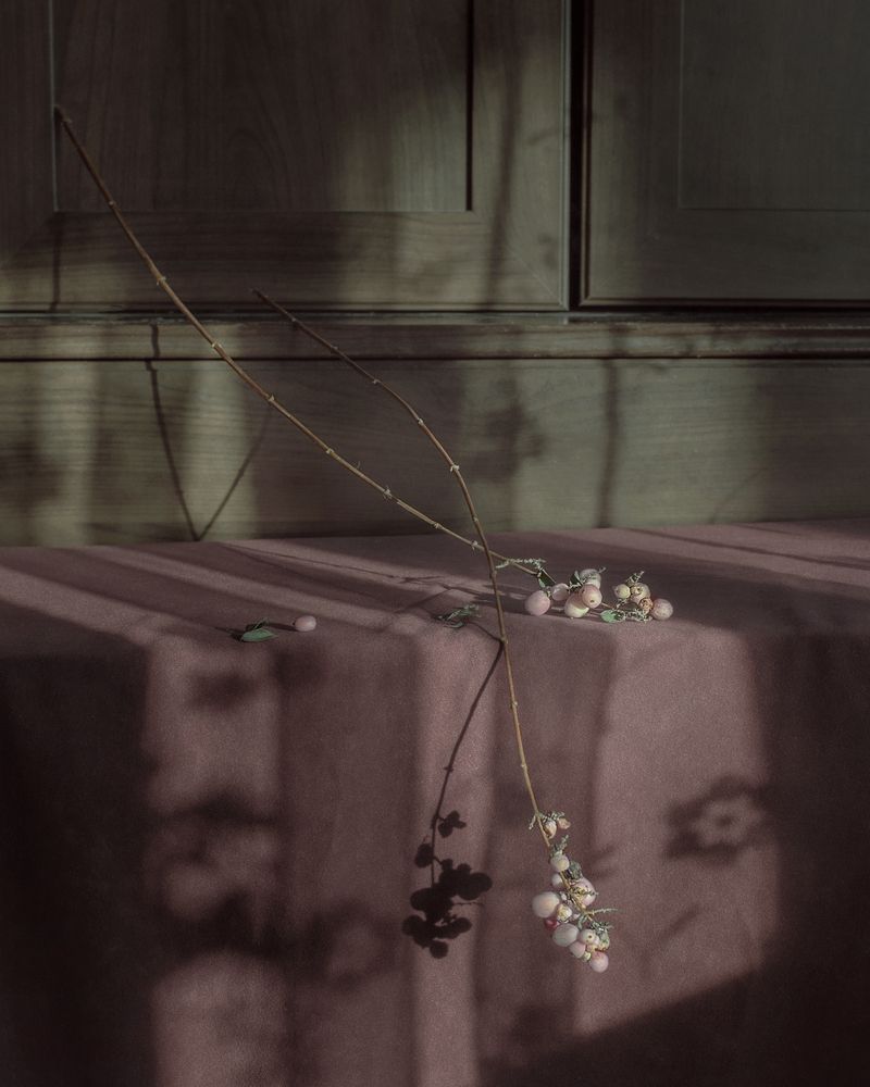 Photograph by Ада Авдонина