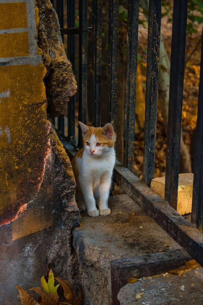 Photograph by zahra salardini