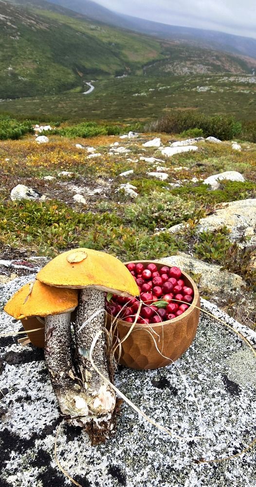 Photograph by Лариса Ким