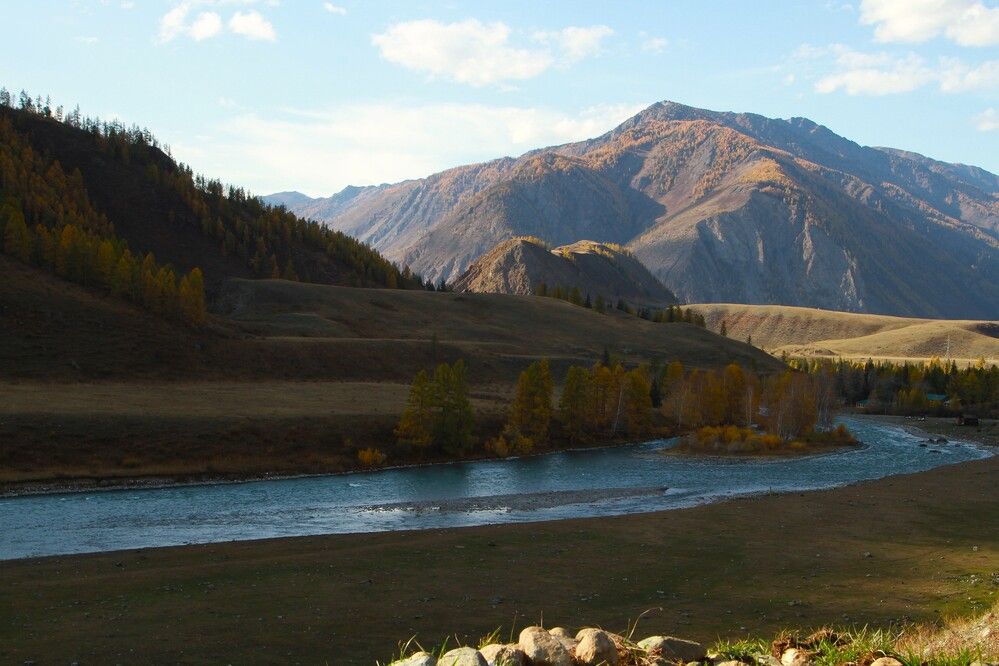 Осенний пейзаж