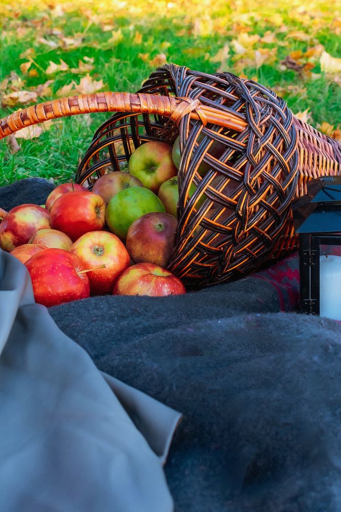 Фотография автора Любовь