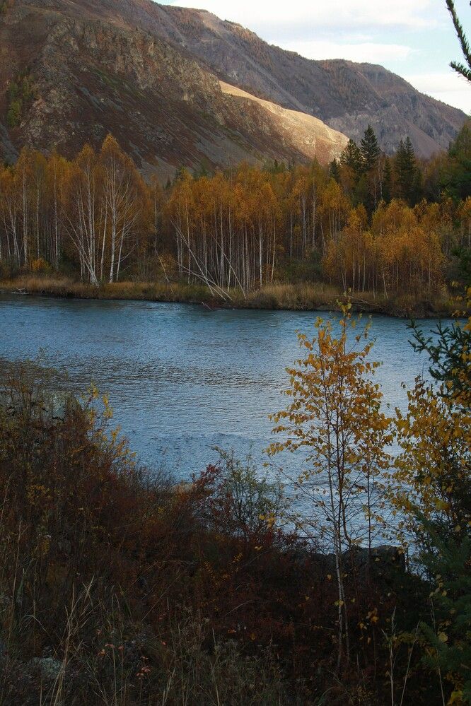 Короче становился день...