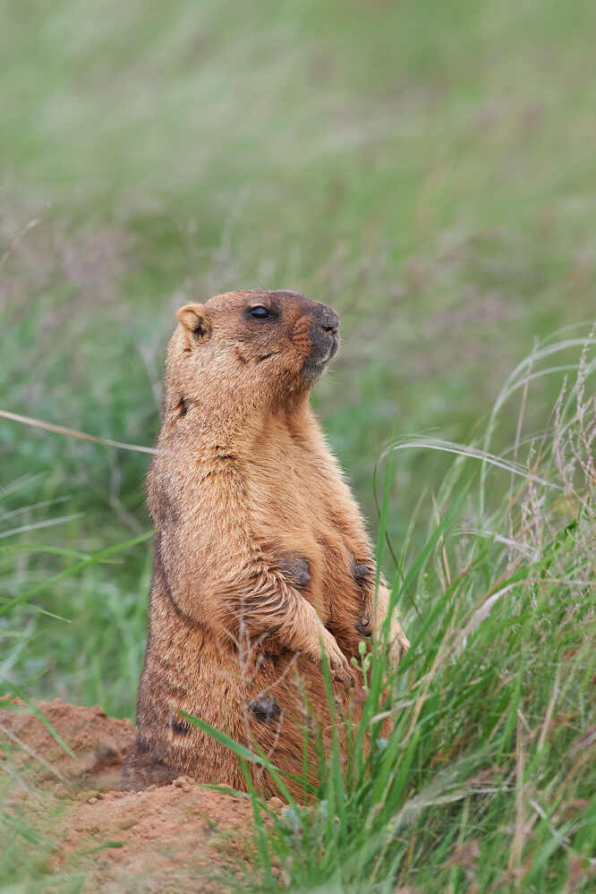 Photograph by Павел Сторчилов