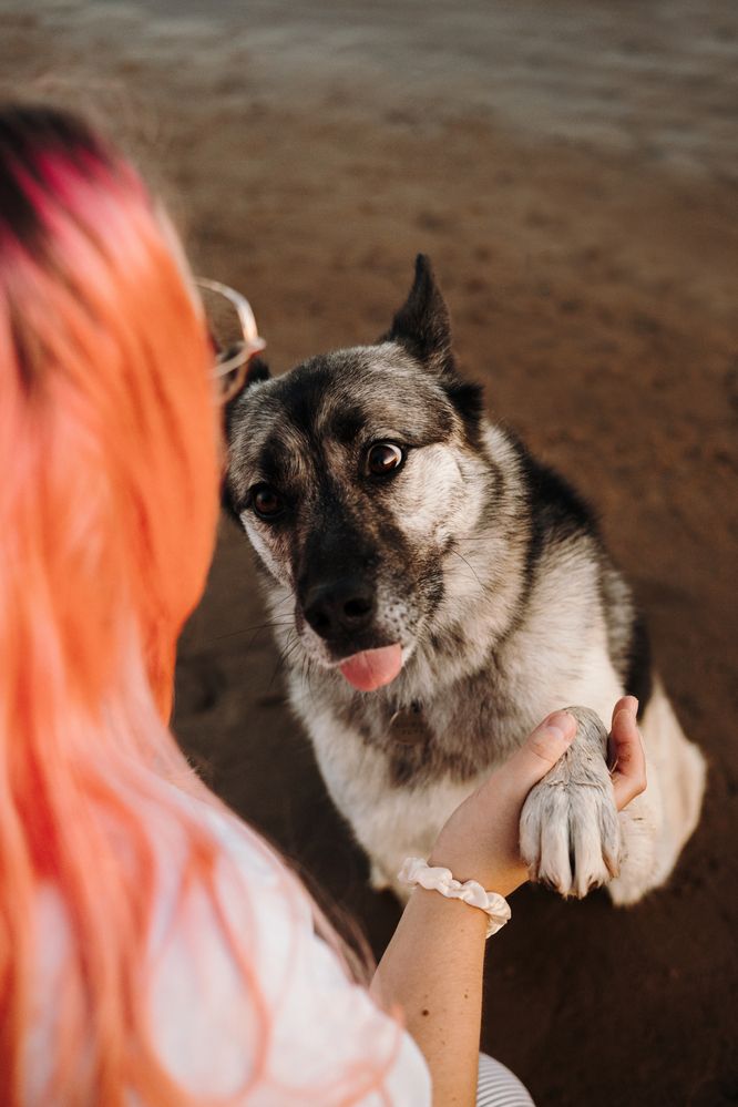 Photograph by Екатерина Воронина