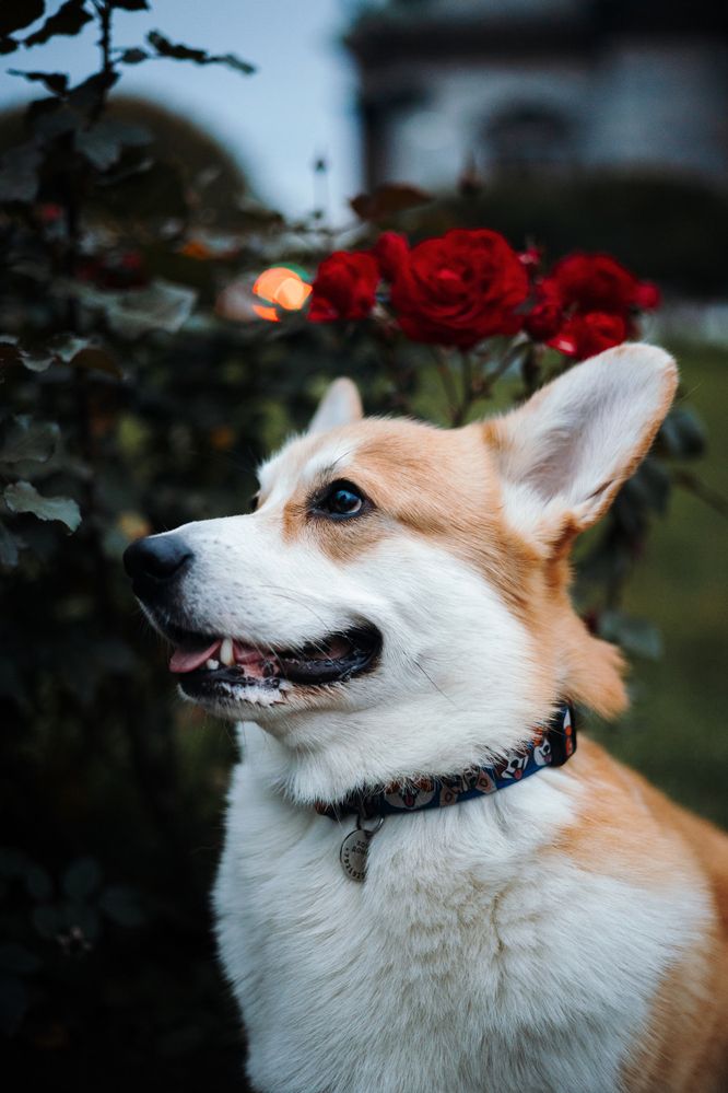 Photograph by Екатерина Воронина