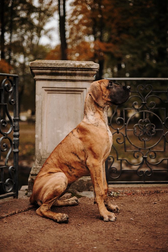 Photograph by Екатерина Воронина
