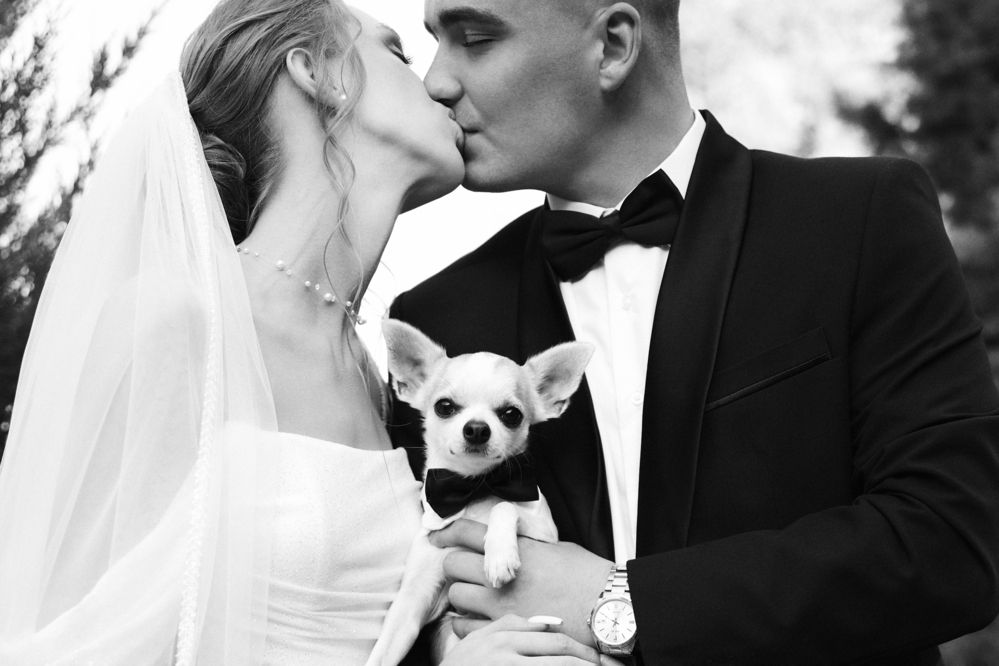 Photograph by Юлия Зозуля