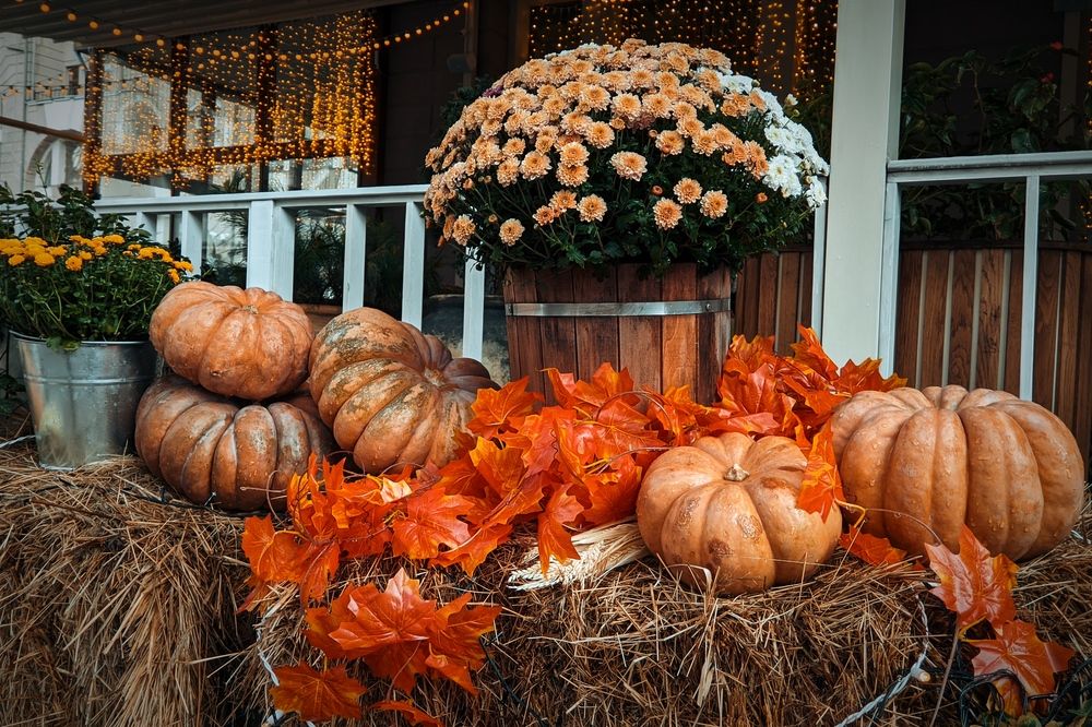 Фотография автора Андрей Павловский