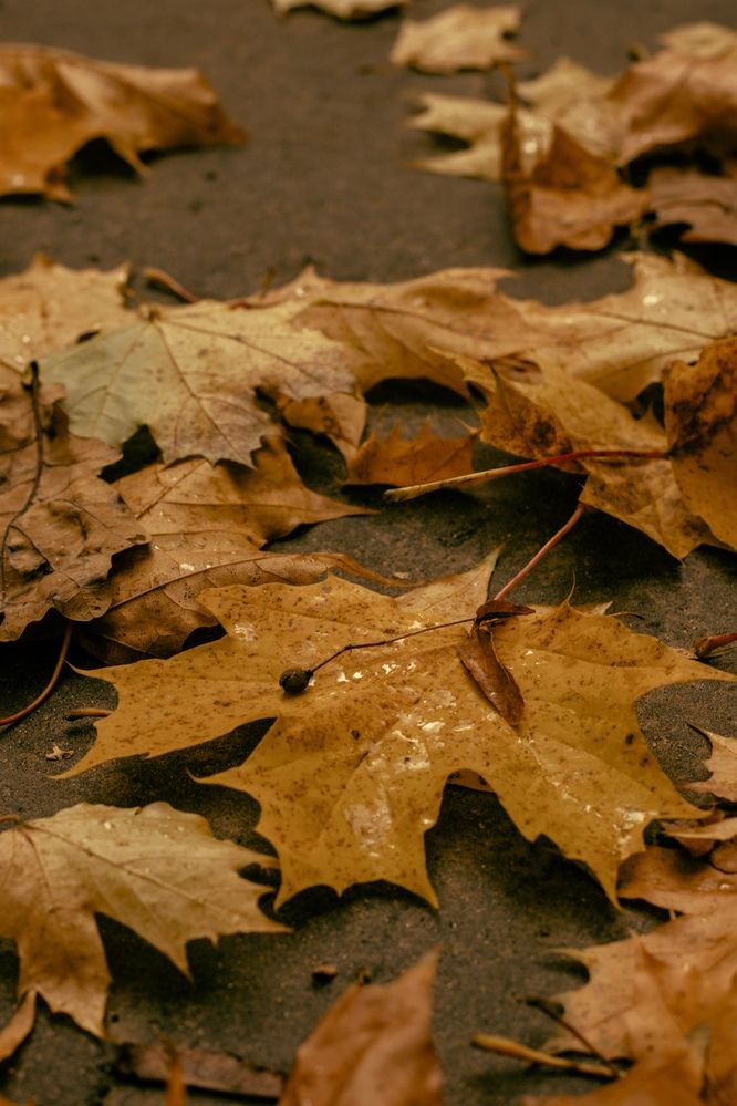 Photograph by Влада Семёнова